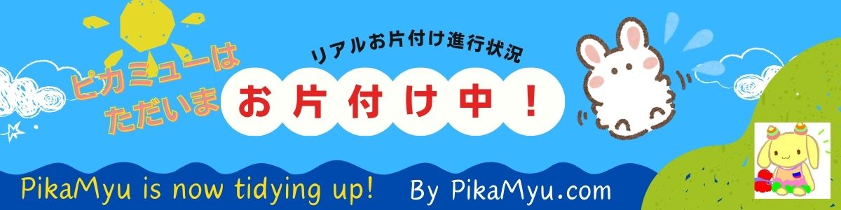 ピカミューはただいまお片付け中！（PikaMyu is now tidying up!）
